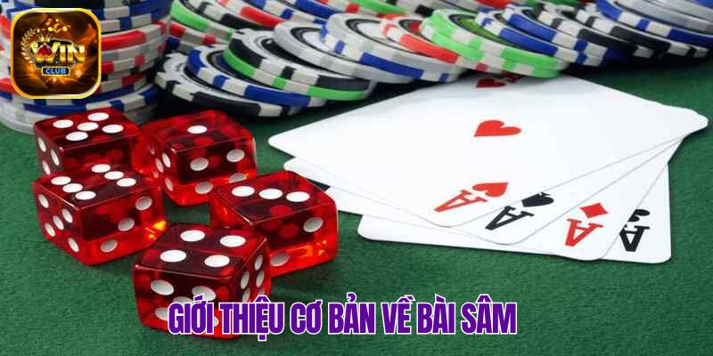 Khái quát các nét cơ bản về Sâm