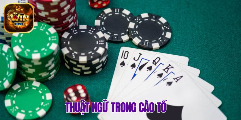Khám phá chi tiết những thuật ngữ trong Cào Tố