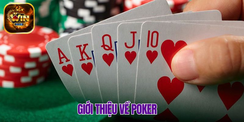 Một số thông tin khái quát về sân chơi Poker